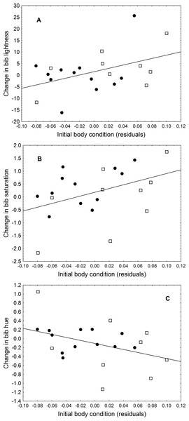 Relationship between initial body condition and (A) change in bib lightness, (B) change in bib saturation, and (C) change in bib hue.