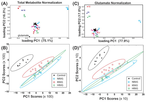Loadings and score plots for effective NMR metabolite fractions.