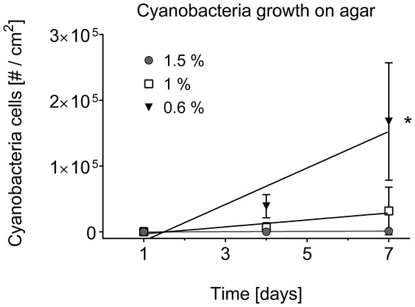 Cyanobacterial growth on various agar concentrations.