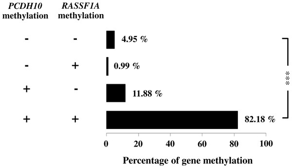 Association of PCDH10 and RASSF1A gene methylations in gastric cancer patients; (−, −) is both unmethylated; (−, +) is the only methylated RASSF1A; (+, 1) is the only methylated PCDH10; and (+, +) is both methylated where indicated, p < 0.001 is denoted ***; 0.001 < p < 0.01 is denoted **, and 0.01 < p < 0.05 is denoted *.