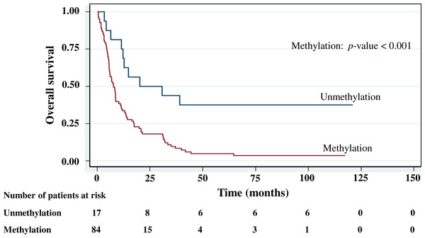 Survival curve of gastric cancer by RASSF1A methylation status (n = 101).