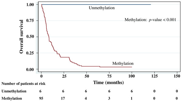 Survival curve of gastric cancer by PCDH10 methylation status (n = 101).