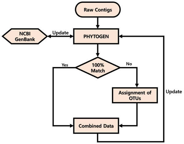 Workflow of PHYTOGEN database process.