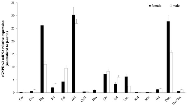 Expression of GNPDA2 gene in adult XH chicken tissues.