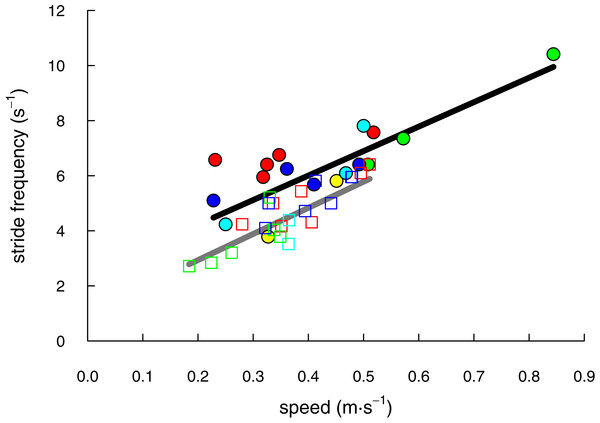 The range of speeds over which shrews (solid circles & black line) and voles (open squares & grey line) moved in this study were not significantly different (P = 0.19).