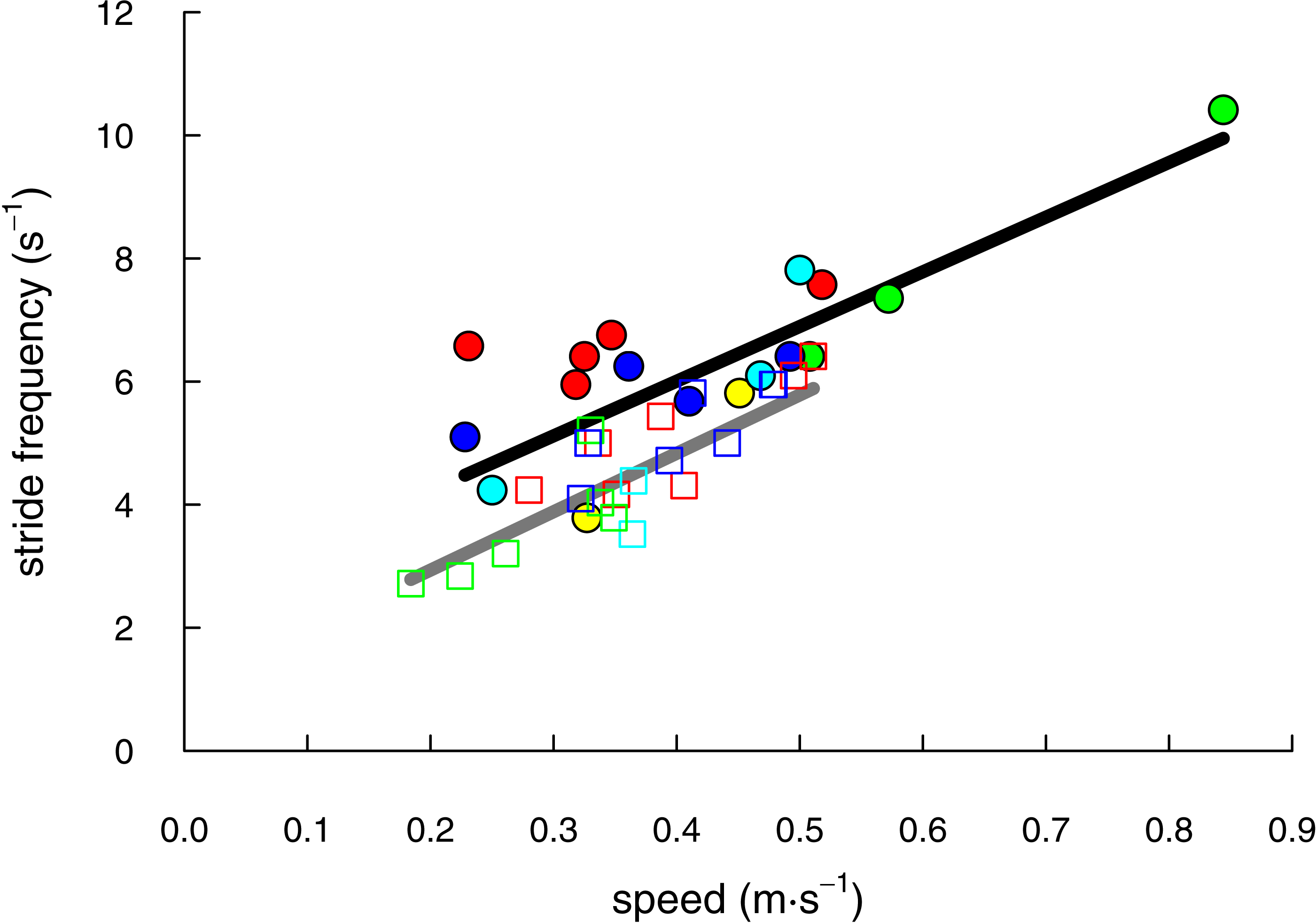 The crouching of the shrew: Mechanical consequences of limb posture in ...