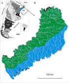 Freshwater gastropods diversity hotspots: three new species from the ...