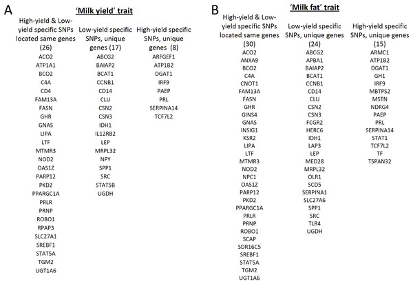Gene level comparison of SNPs specific in high and low milk-yield groups with QTL dataset.