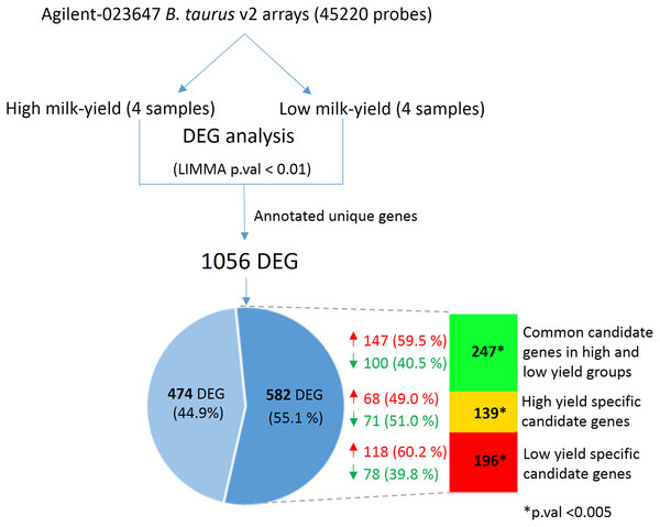 Comparison between DEG in high vs low-milk yield cattle and SNP candidate genes from buffalo breeds.