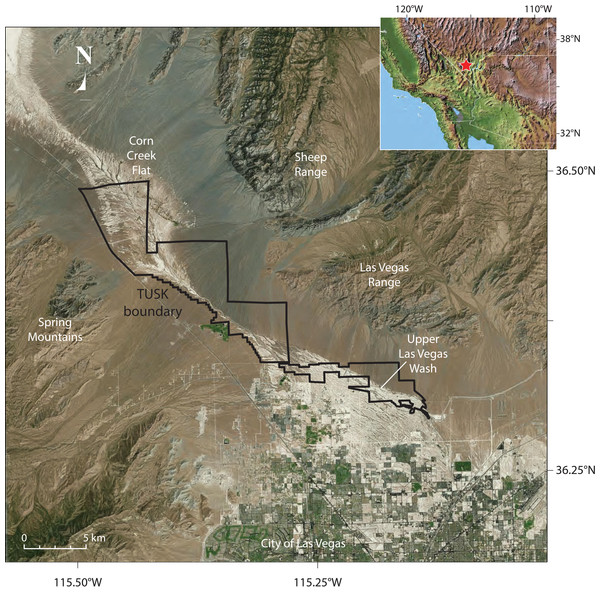 Aerial view, location of Tule Springs Fossil Beds National Monument (TUSK).
