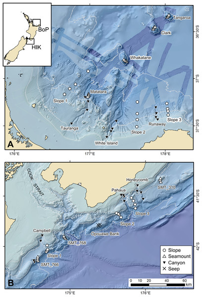 Map showing sampling sites and stations in the Bay of Plenty (BoP, (A)) and Hikurangi Margin (HIK, (B)) study regions and their relative locations in New Zealand (inset).