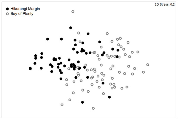 Two-dimensional MDS ordination plot of meiofaunal community structure at the Hikurangi Margin and Bay of Plenty study regions.