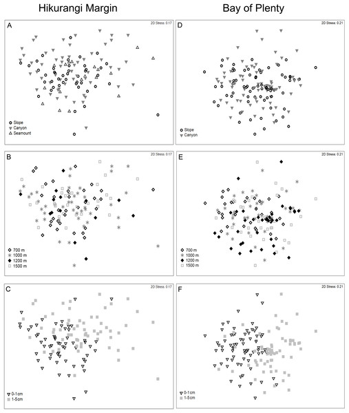 Two-dimensional MDS ordination of meiofaunal community structure at the study regions.