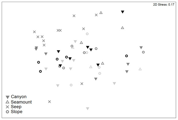 Two-dimensional MDS ordination of meiofaunal community structure for habitats in the Hikurangi Margin study region (water depth: 700–1,200 m only).