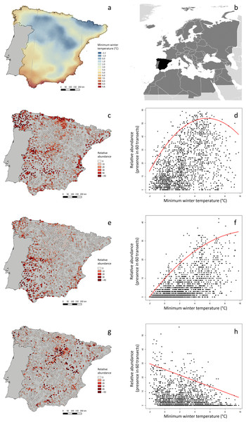 Minimum winter temperature (°C) and relative abundance of three example bird species in peninsular Spain, and relationship between these variables.