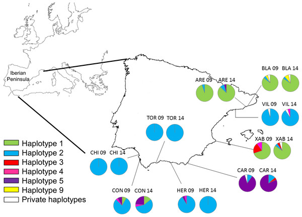 Map of the Iberian Peninsula (NW Mediterranean) showing the sampling sites of Styela plicata.