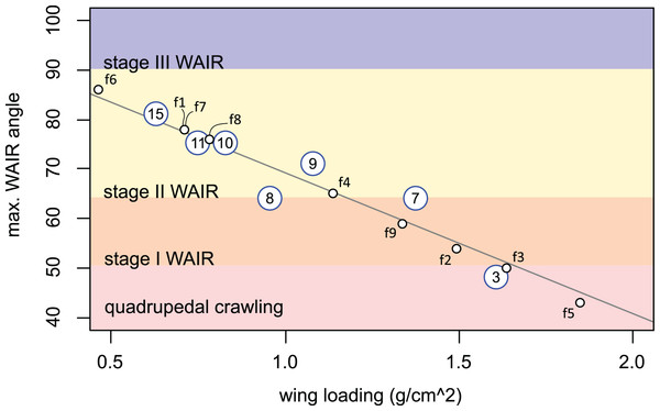 Regression of measured wing loading versus maximum.