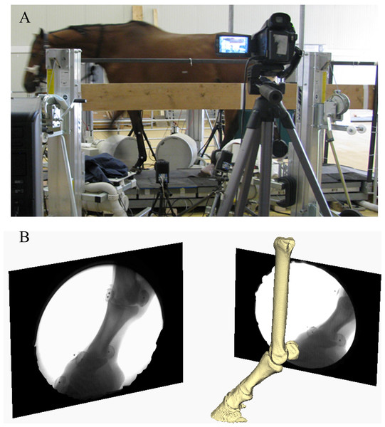 Image of experimental and virtual set-up.