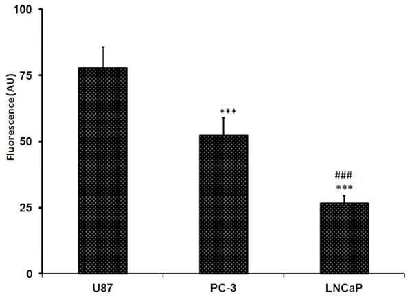Levels of glucose uptake in U87, PC-3 and LNCaP cell lines.