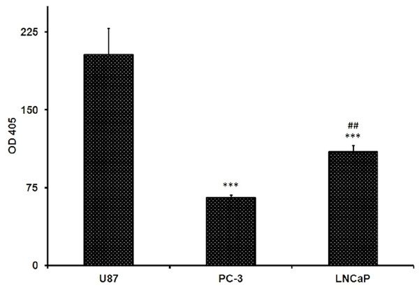 Beta-glucosidase activity in U87, PC-3 and LNCaP cells measured by beta-glucosidase assay kit using the 2-NPG substrate.