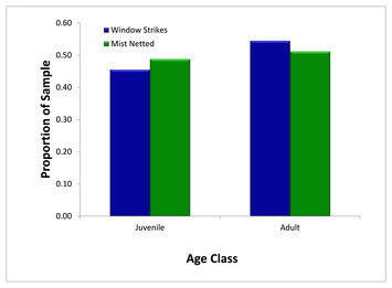 Local avian density influences risk of mortality from window strikes ...