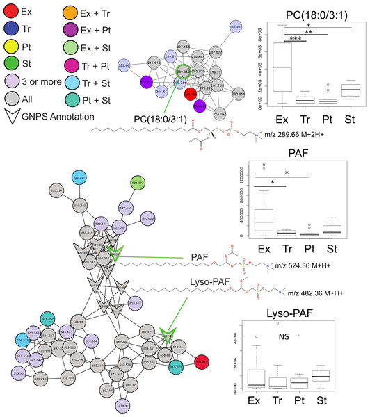 Molecular network of exacerbation biomarkers.