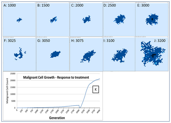 Growth of tumour mass over time.