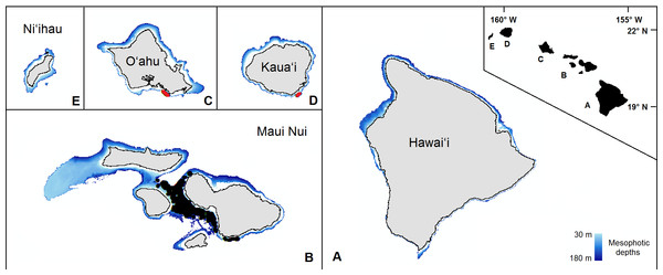 The mesophotic zone of the main Hawaiian Islands.