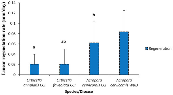 Rates of tissue regeneration (mm/day ± SD) of CCI and WBD in Acropora cervicornis, Orbicella annularis and O. faveolata.