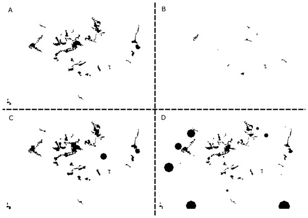 Examples of simulated landscapes based on the original whitebark pine model.