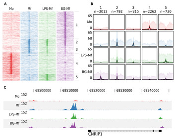 Fluff: Exploratory Analysis And Visualization Of High-throughput ...