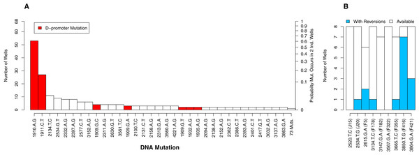 The number of occurrences of each mutation is highly uneven.
