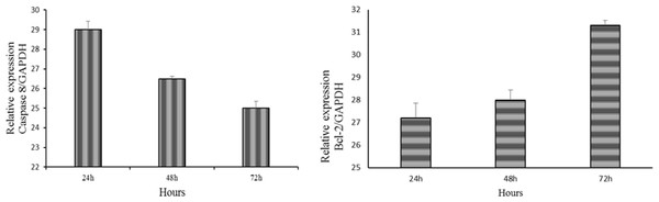 Downregulation of caspase 8 and upregulation of Bcl-2 expression in NHPL fibroblast cells.
