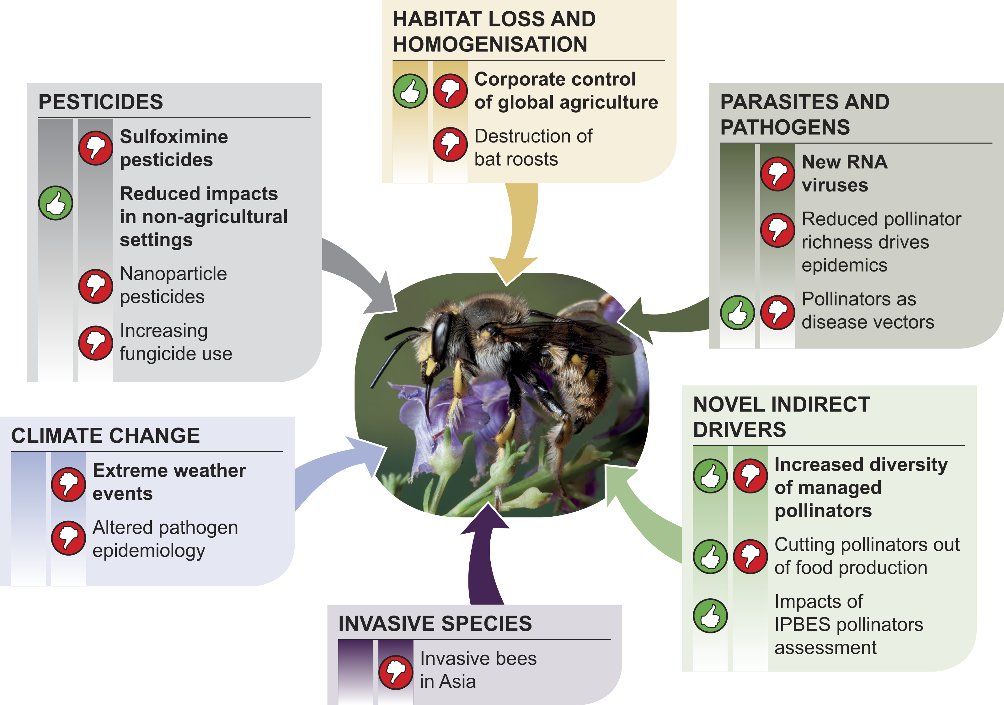 A Horizon Scan Of Future Threats And Opportunities For Pollinators And ...