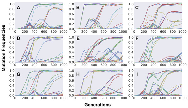 Dynamics of frequency change of individual mutations along time across independently evolving populations.