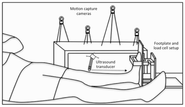 Experimental setup.