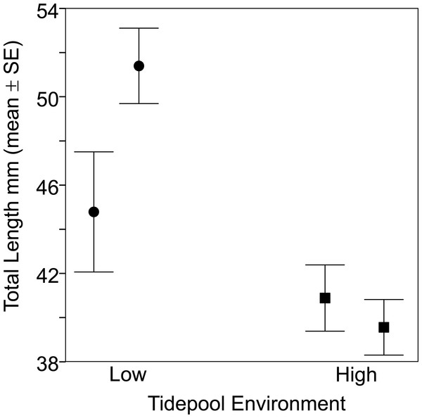 Fish from the two low tide pools (circles) were larger than those from the two high tide pools (squares) based on total body length (TL).
