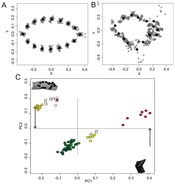 Morphometric relationships among mimetic fish and plant models.
