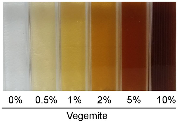 Solutions of glucose and various concentrations of Vegemite (0%, 0.5%, 1%, 2%, 5%, and 10%, all v/v).