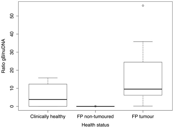Boxplot showing viral g B[i] load ratios by main three different health status categories.