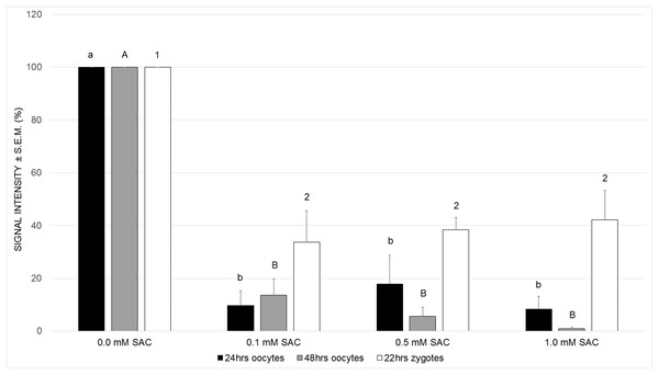 Effects of SAC on ROS production in porcine oocytes after 24 and 48 h of cultivation, and in zygotes after 22 h of cultivation.