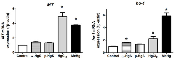 Analysis of gene expression in medaka embryos exposed to mercury compounds.