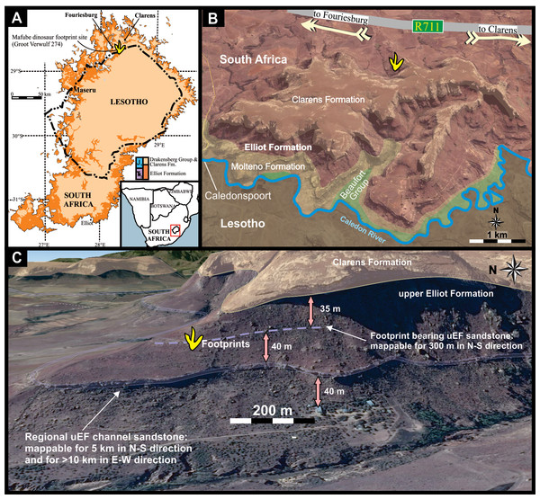 Location and stratigraphy of the Mafube dinosaur track site.