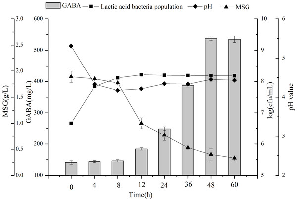 Changes in LAB counts, pH value, GABA, and MSG concentrations during fermentation with L. plantarum M-6. Data are expressed as mean ± SD from triplicate experiments.