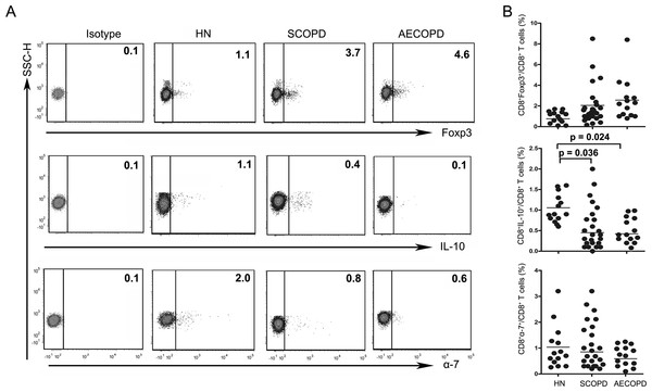 The percentage of Tc10 cells is decreased in both the SCOPD and AECOPD groups.
