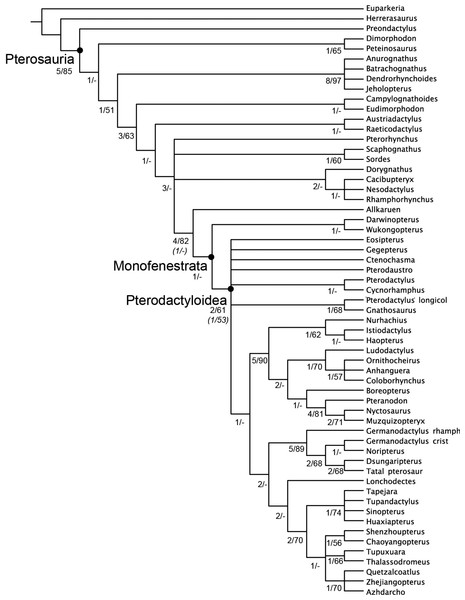 Strict consensus of the 360 most parsimonious trees with major nodes of Pterosauria labelled.