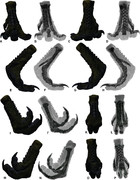 The pes of Australovenator wintonensis (Theropoda: Megaraptoridae ...