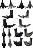 The pes of Australovenator wintonensis (Theropoda: Megaraptoridae ...