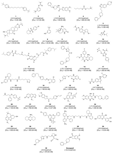 Chemical structures, binding energy and bioactivity of the diversity set consisting of 30 representative compounds from active AChE inhibitors.