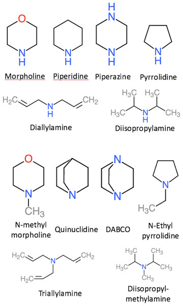 Depiction of the secondary and tertiary amines used in this study.